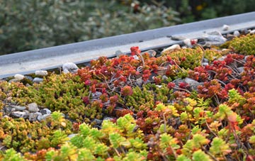 the cost of Tredavoe green roof installation