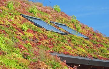 Tredavoe living roof systems